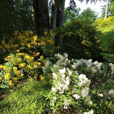Gasthof Haus Waldheim Malente