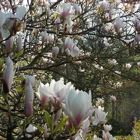 Haus Waldheim Gasthof