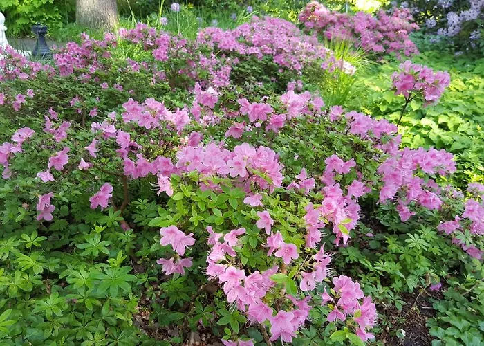 Haus Waldheim Gasthof