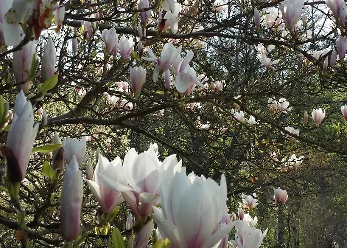 Haus Waldheim بيت ضيافة